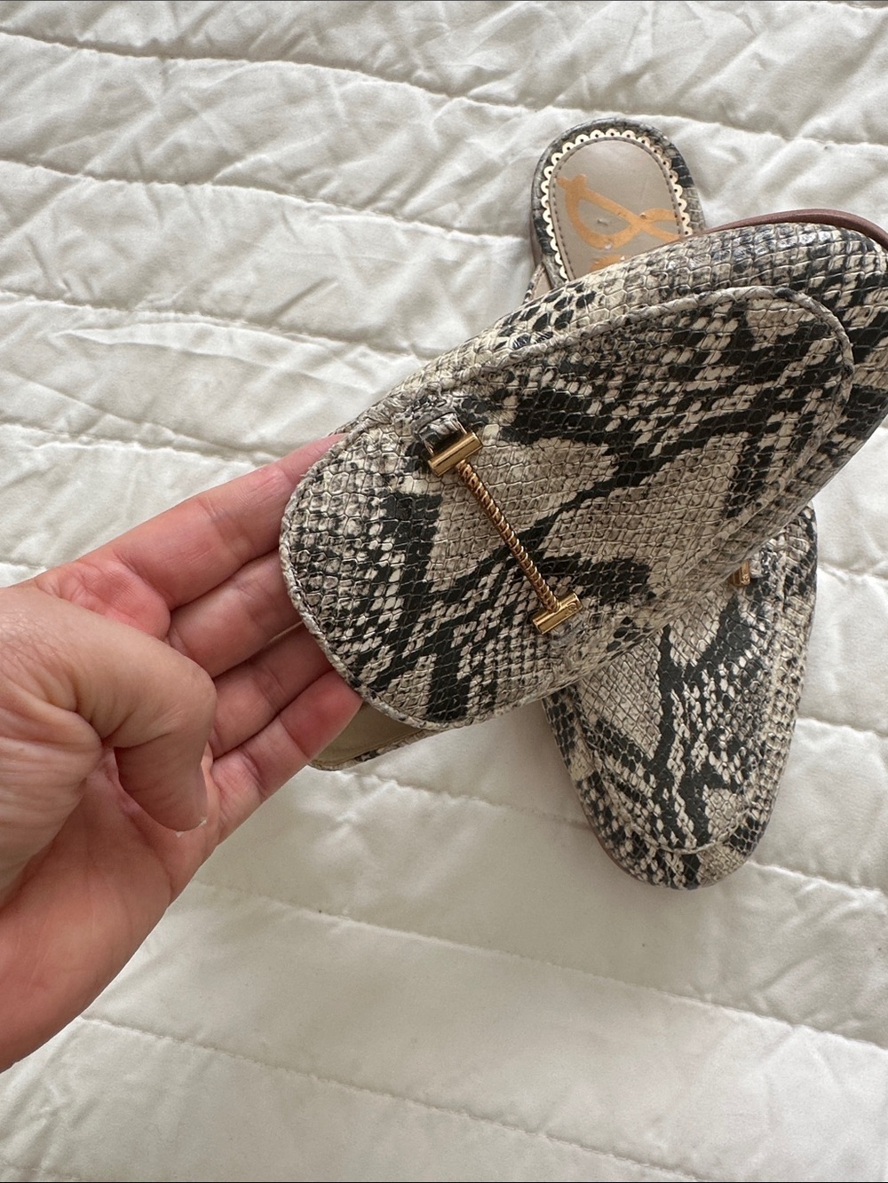 Sam Edelman Snake-Print Backless Mules with Gold Accent - Beige & Black - Picture 6 of 8